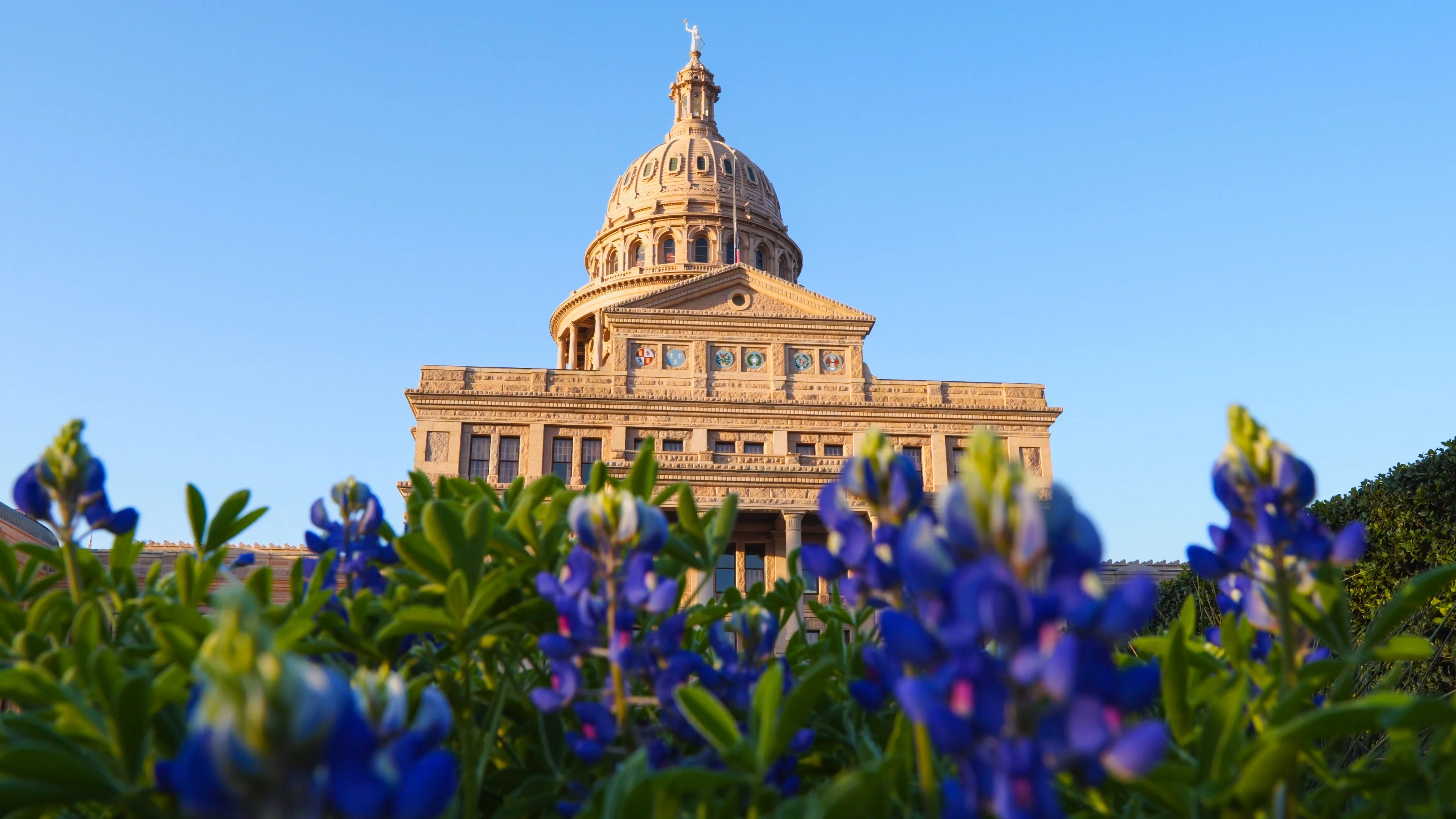 Picture of the Texas Capitol