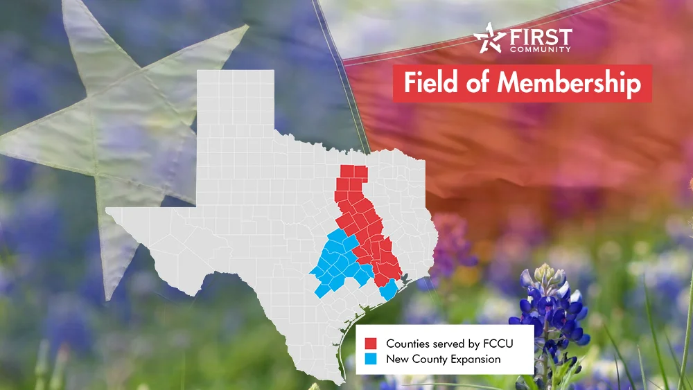 the State of Texas with the color of the flag inside. 