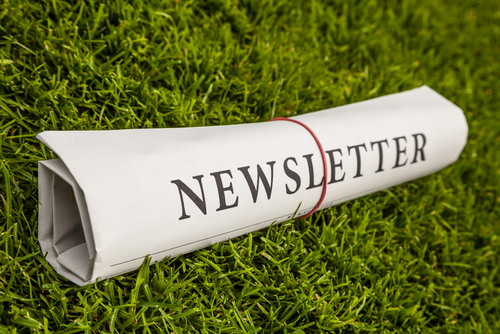 newsletter rolled up on grass