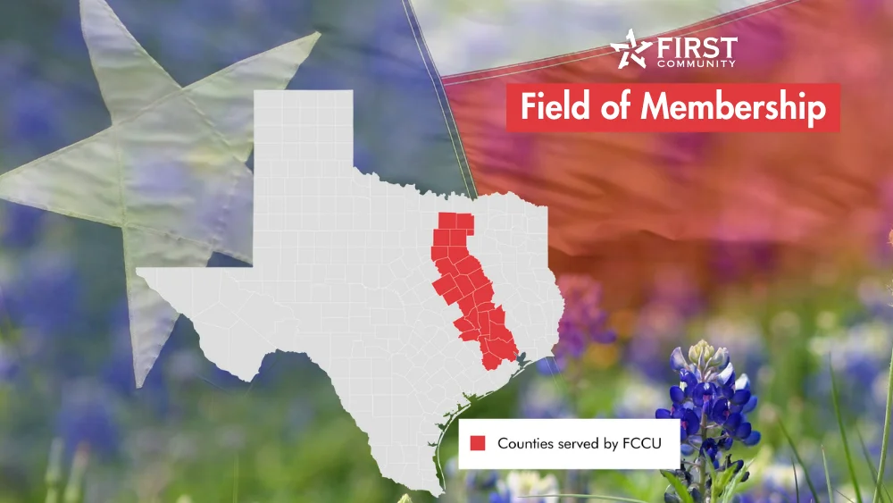 the State of Texas with the color of the flag inside. 